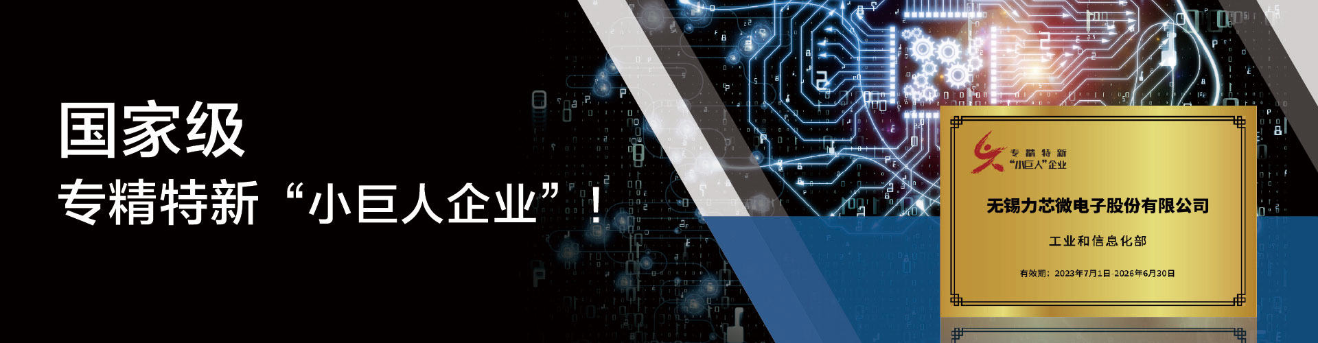 国家级专精特新“小巨人企业”